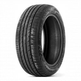 Rapid Ecosport 235/55R19 105V