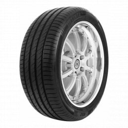 DELINTE DS2 SUV 225/70R16 103H